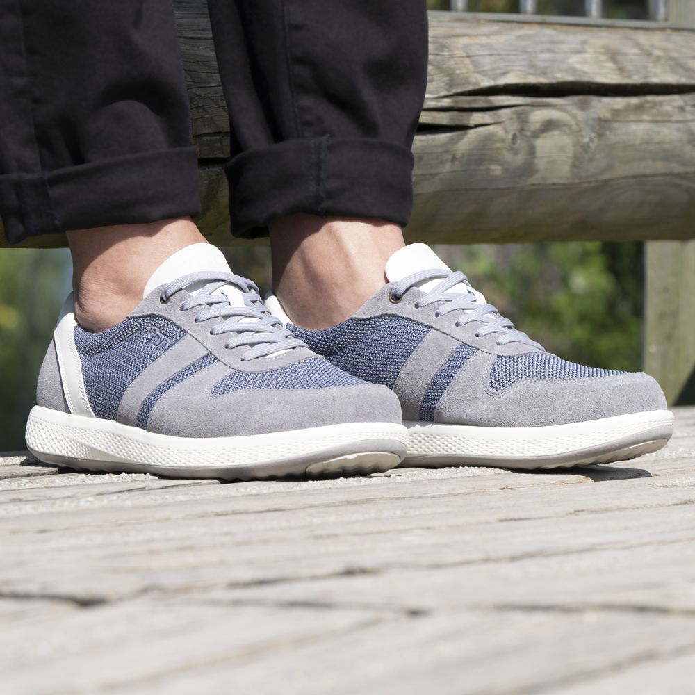 Joya Sven Grey