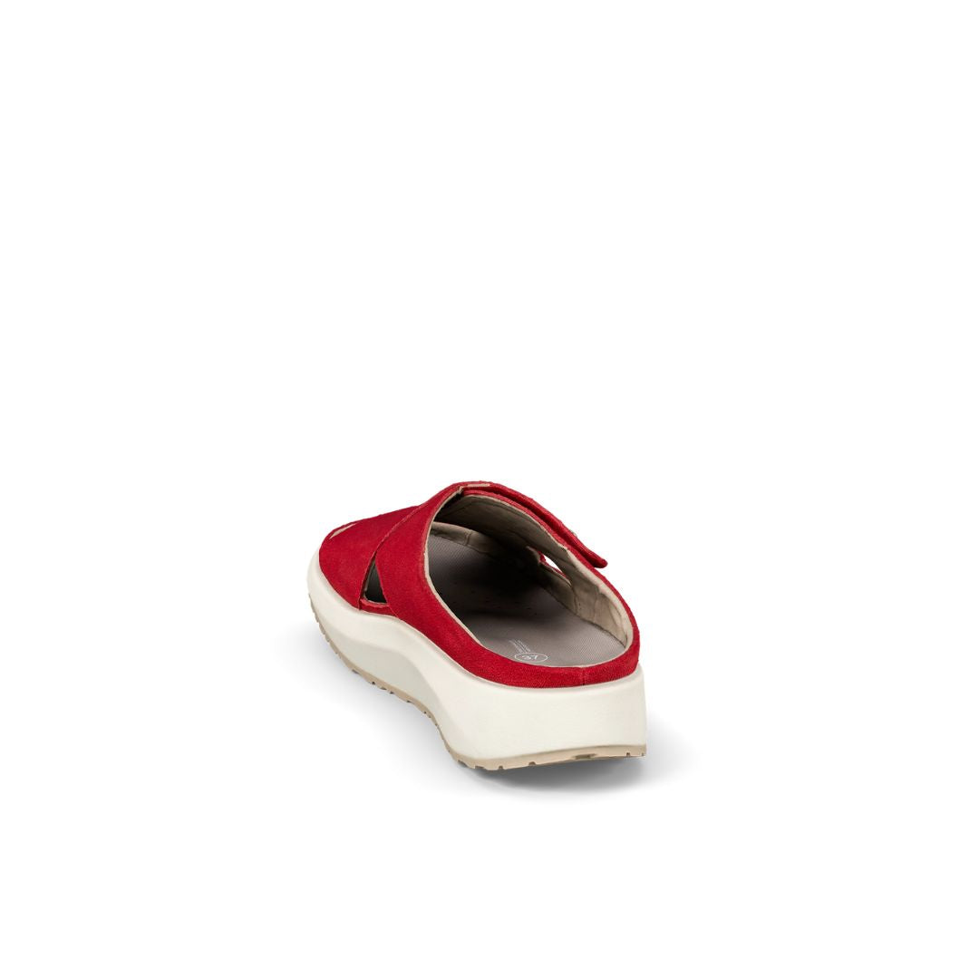 Joya Alicante Red