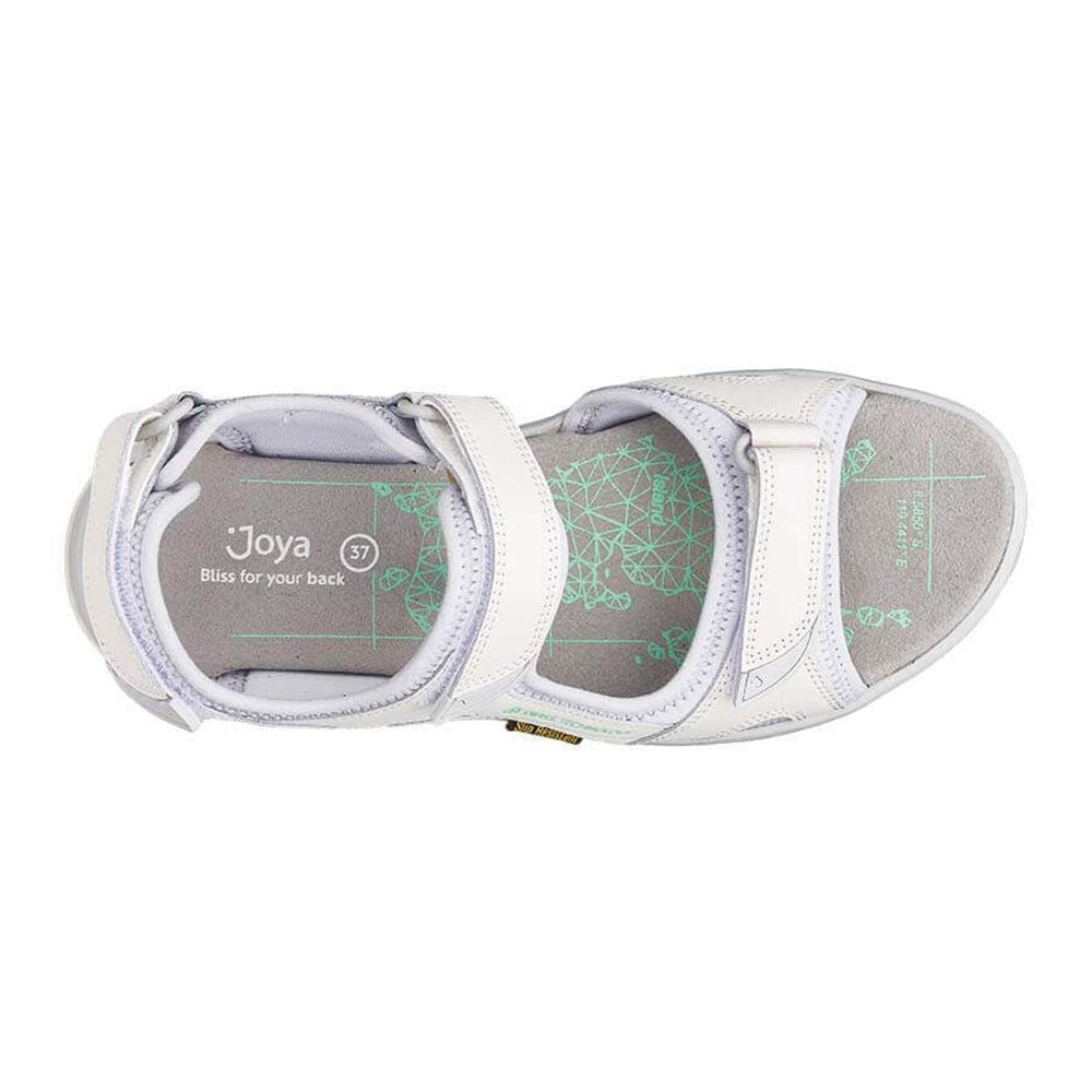 Joya Komodo SR White