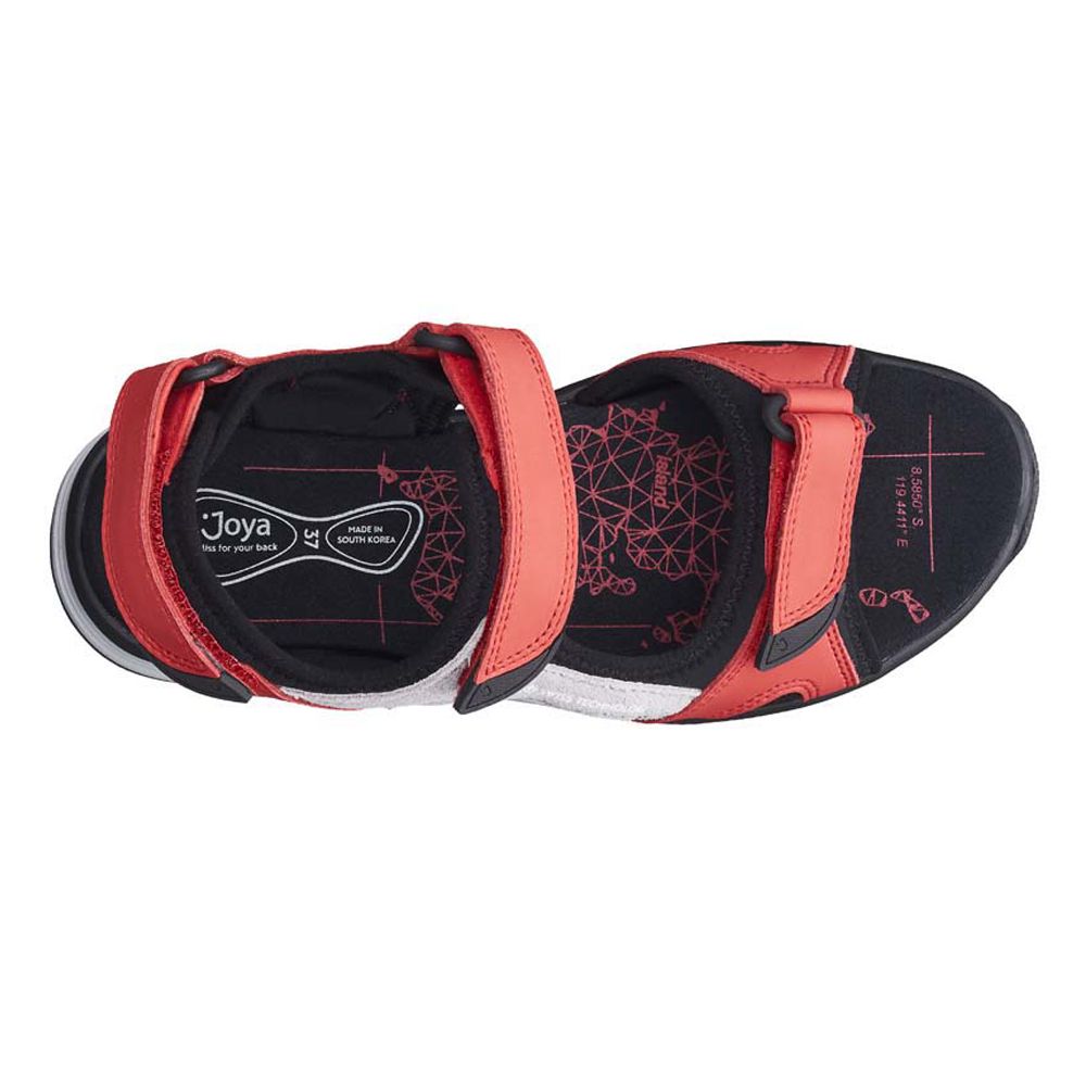 Joya Komodo Red